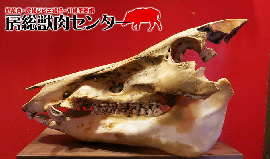 房総獣肉センター 富士見店